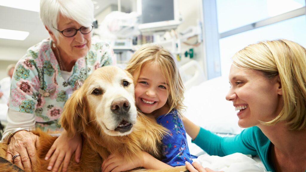 Animal therapy for autism. Child holding a therapy dog with a smile
