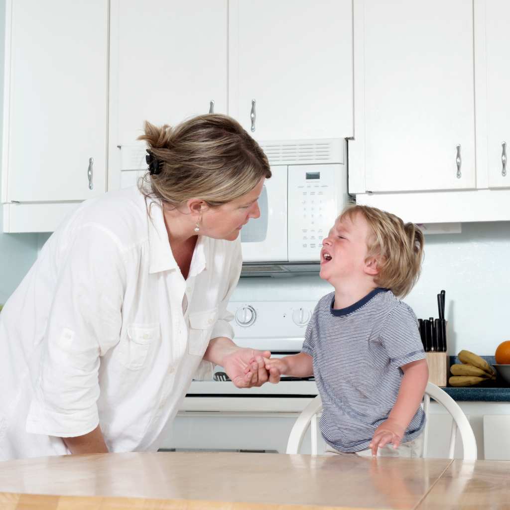 Autism Meltdowns and Tantrums