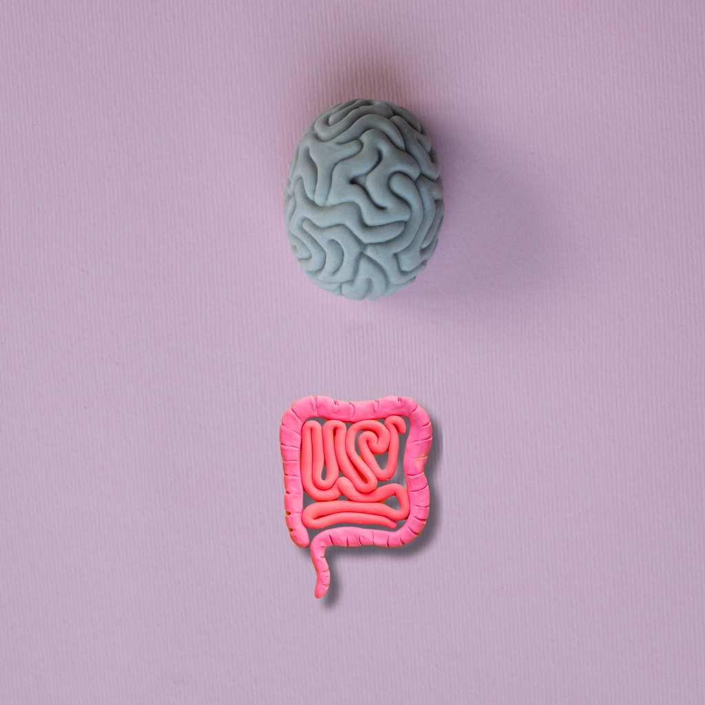 Gut-Brain Axis