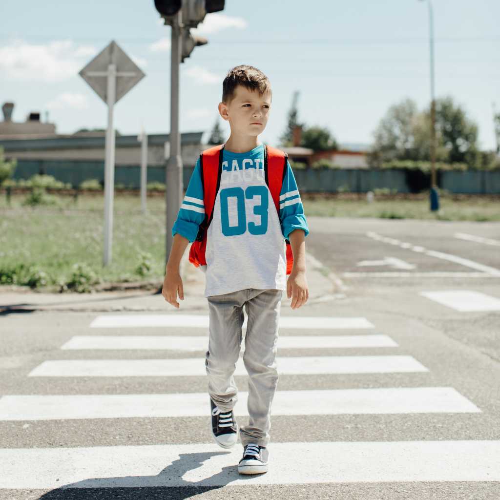 Road Safety for Children with Autism: What Are the Challenges