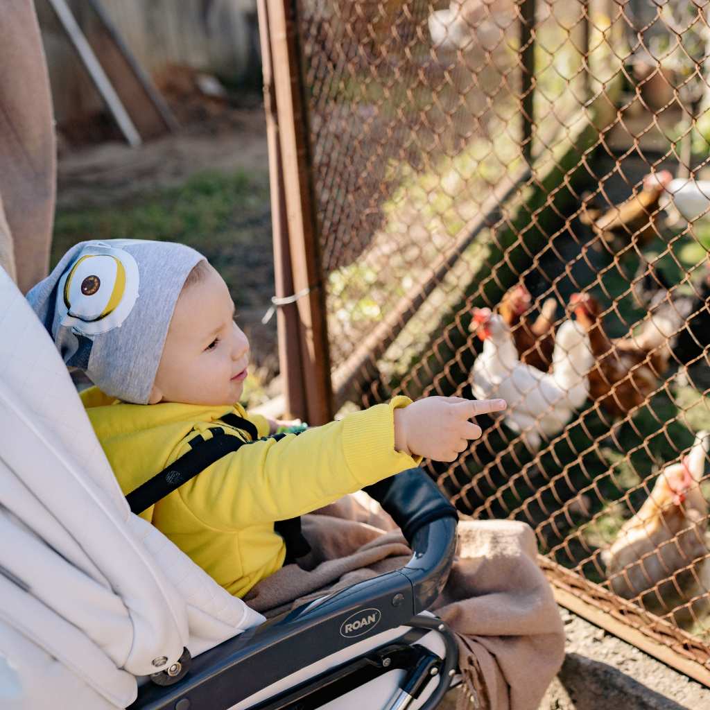 Toddler interacting with surroundings, highlighting social growth